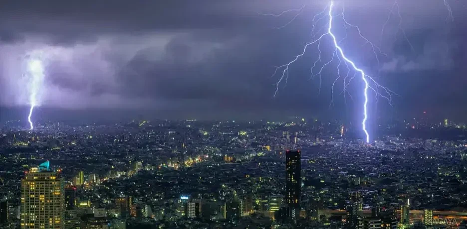 Studju ta' Każ ta' l-Industrija|Kif Jistgħu l-Kumpaniji tal-Ħarsien kontra s-...